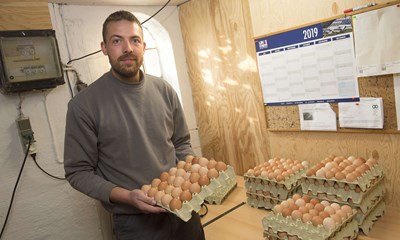 Leverede 6.500 �g om ugen � nu er alle h�ns aflivet