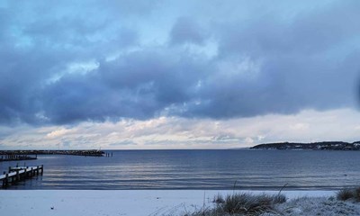 Dagens billede: Bl�t i bl�t