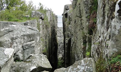 Fonde redder Bornholms vilde natur
