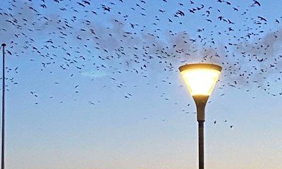 Dagens billede: Sort Sol over Kapelvej i R�nne