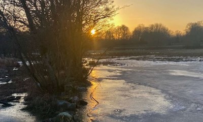 Dagens billede: Gylden eftermiddag i Nex�