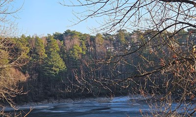 Dagens billede: Vinterkulden har lagt sin f�rste is p� Rubins�en