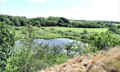 P� jagt efter for�rets f�rste tegn i Kleven