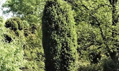 Bornholms seje overlever