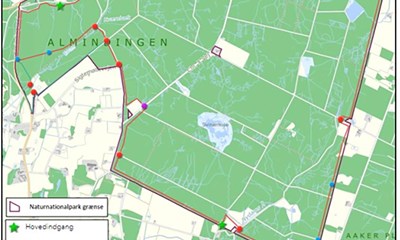 Gr�nt lys til hegn i Almindingen  