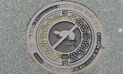 Kaas: Gad vide om de har færre rotter