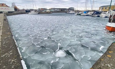 Dagens billede: Nex� Havn.