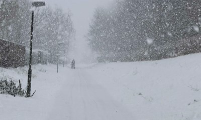 Sådan kan vi spinde guld