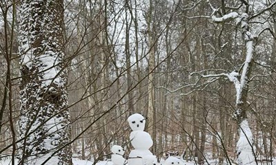 Dagens billede: Pludselig stod 