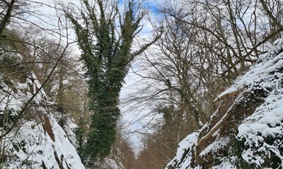 Dagens billede: Sne og bl� himmel i Kleven