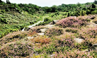 Nu �ndres Bornholm igen