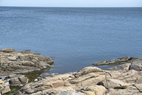 Skr�kscenarie: 'En meget stor og en meget dyr opgave'