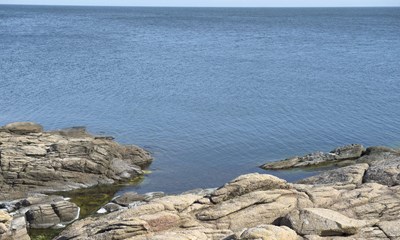 Skr�kscenarie: 'En meget stor og en meget dyr opgave'