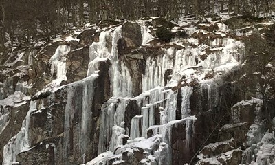 Dagens billede: Snart sidste chance for at se is i Ekkodalen