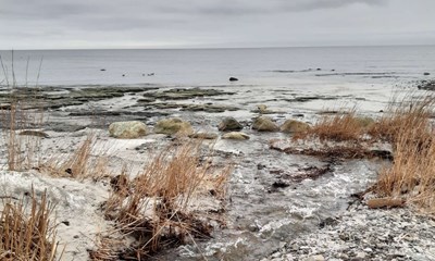 Dagens billede: Str�mmen kan det knibe med, men...