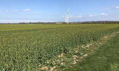 Nu svarer ministeriet p� nabobekymring