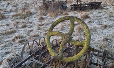 Dagens billede: Landbrugets kirkeg�rd