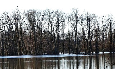 Her er paradis ved Nex�