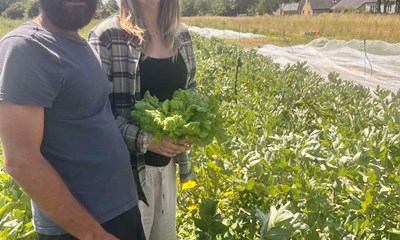 �ben G�rd p� Hammersly