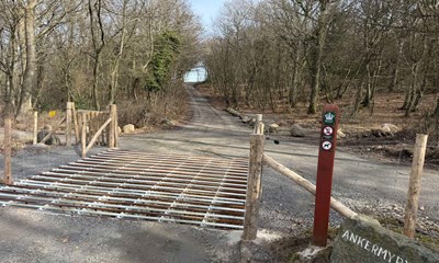 Naturstyrelsen udvider p� Slotslyngen