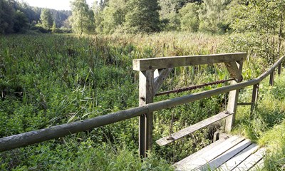 Dyrene skal v�k, n�r Forsvaret skal �ve