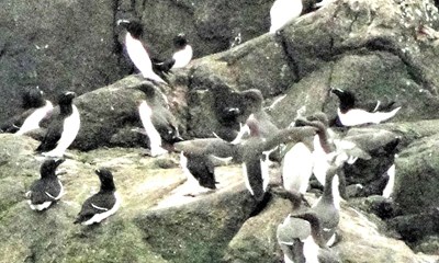 Bornholms skjulte perle