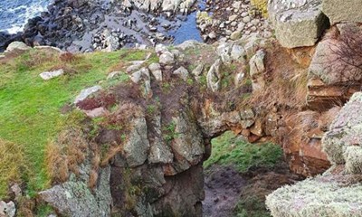 Dagens billede: Det gr�nnes