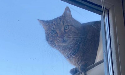 Dagens billede: �Mis-forst�et� overblik i Nex�