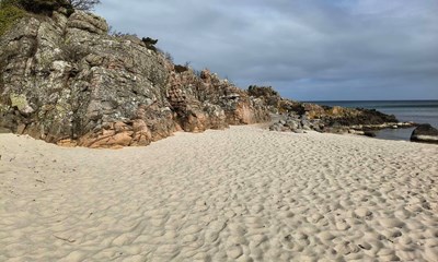 Dagens billede: Hvidt, gr�t og bl�t