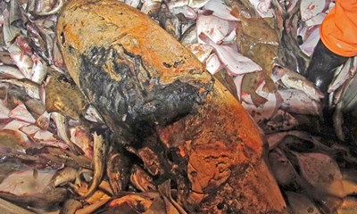 Et lokalt problem � et internationalt ansvar