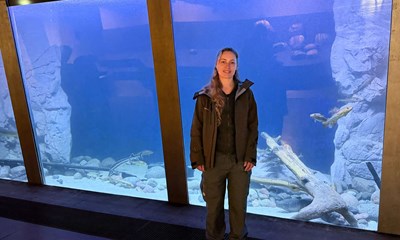 K�mpeakvarium har f�et nyt look 