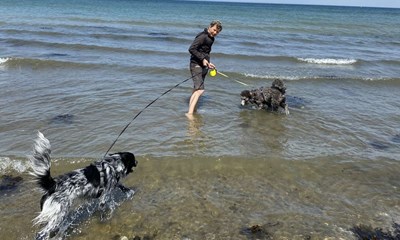 Husk snoren p� stranden