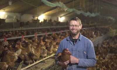 Nye krav lukker produktion ned: 'Det er trist'