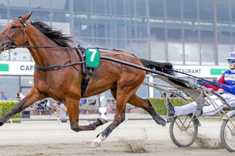 Sm� felter p� travbanen