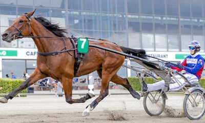 Sm� felter p� travbanen