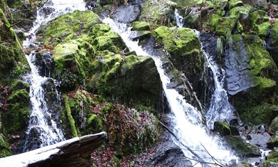 Har forandret sig markant p� 19 �r