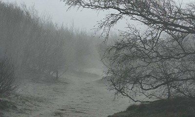 Dagens billede: Havgus p� Kullatippen