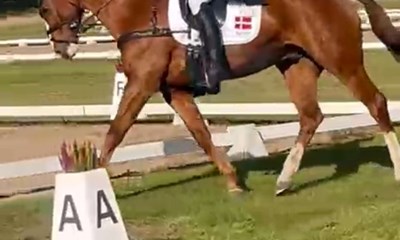 Deltager i internationalt st�vne