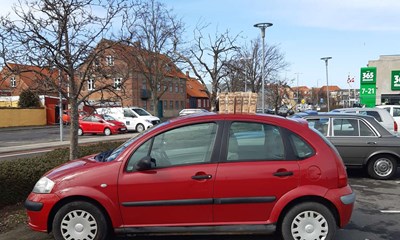 Dagens billede: M�lk p� taget