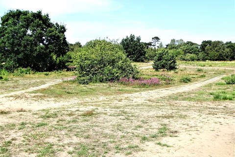 Et af de mest fredelige steder gemmer p� en brutal fortid