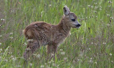 Den tid p� �ret: Hold jer v�k