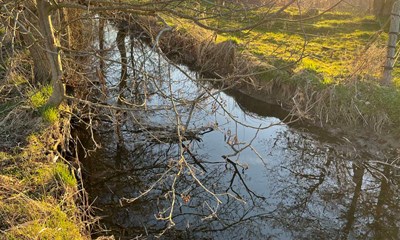 Dagens billede: Aftensol ved Ferskes� i Nex�