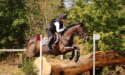 Vi havde internationale turneringer - nu skal sporten reddes 