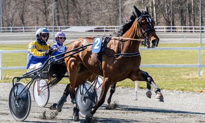 Jonas Mikkelsen slog til igen 