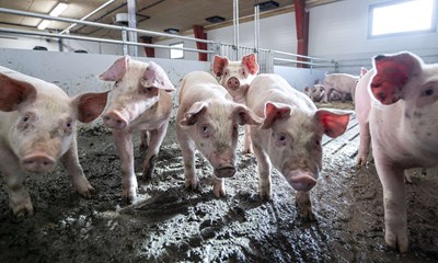 S�tter tre g�rde til salg for over 100 millioner