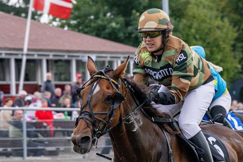 69 heste i s�ndagstrav