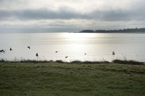 Skyggeskibe skifter rute i �sters�en