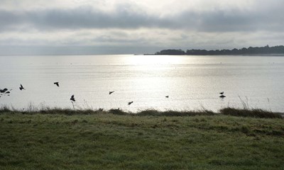 Skyggeskibe skifter rute i �sters�en