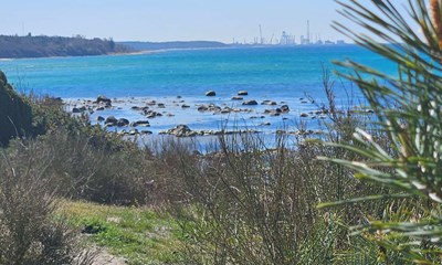 Dagens billede: Vores smukke kyst