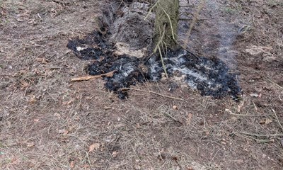 Brand p� skydeterr�n lynslukket